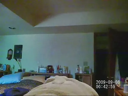 Студентите празнуват ...