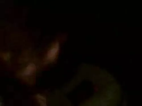 Даде платика, принуд ...