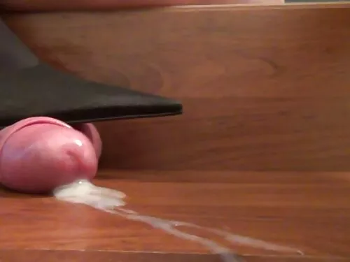 Руски студентски сви ...