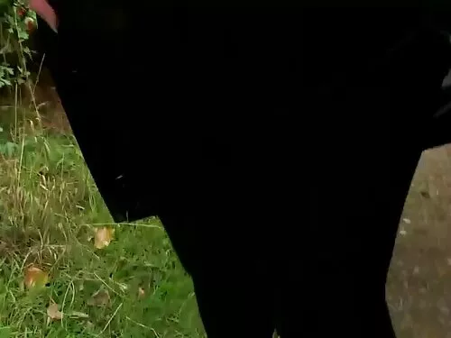 Процедури за лице, м ...